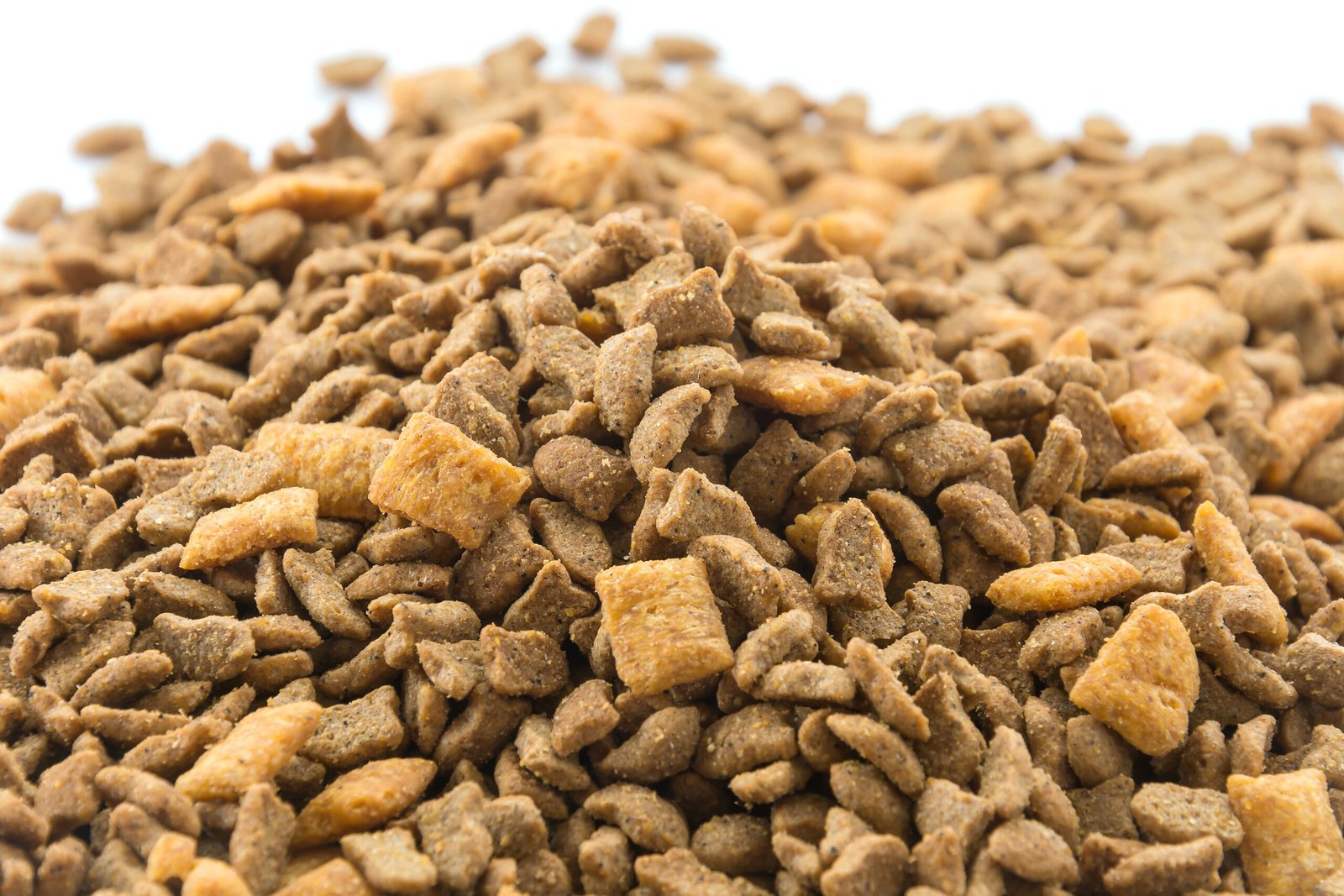 Pet food on white background
